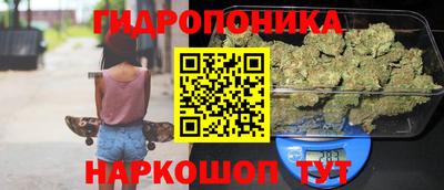 шишки Анапа