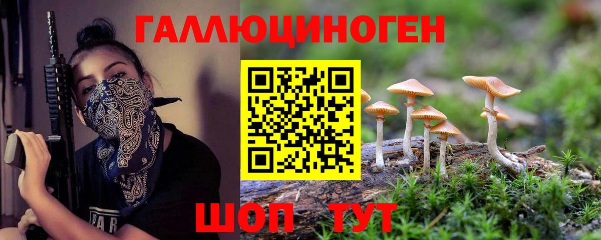 Псилоцибиновые грибы Psilocybe Верхняя Пышма