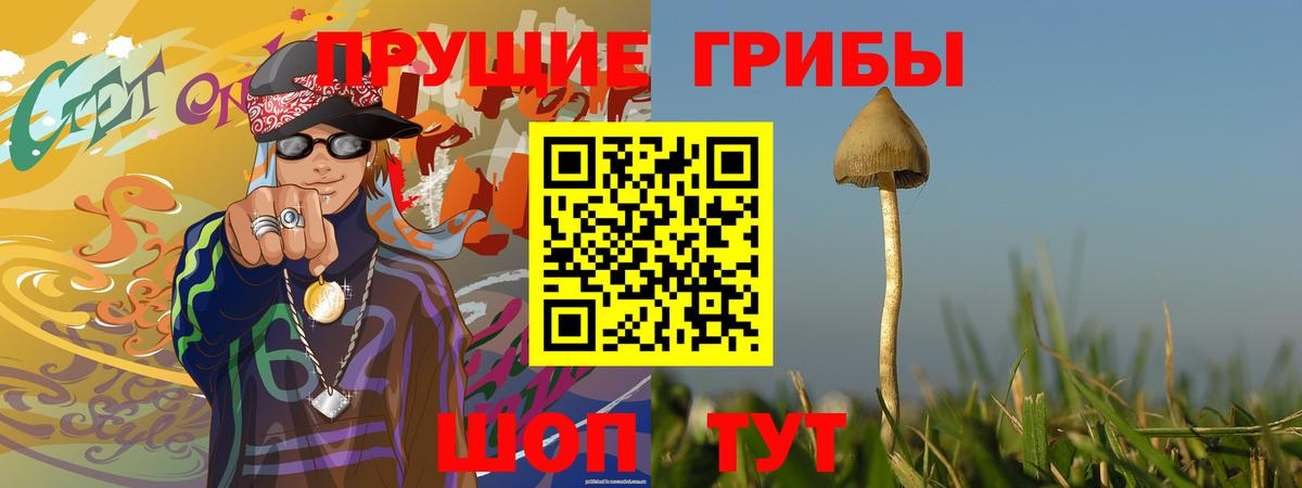 Псилоцибиновые грибы ЛСД  Вход с VPN  Верхняя Пышма 