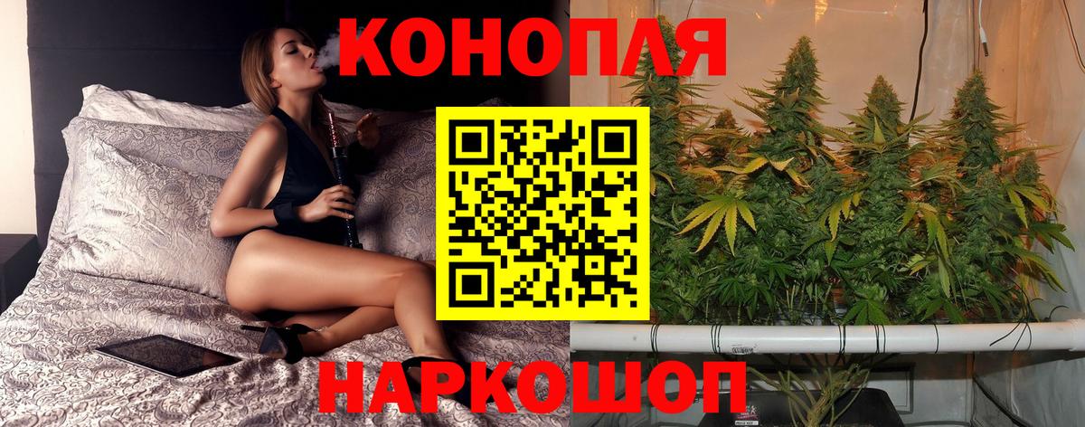 Бошки Шишки семена Верхняя Пышма
